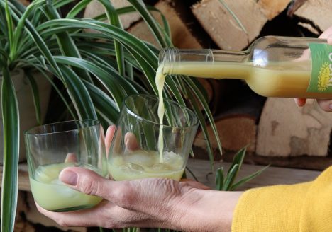 Scharfer Bio Ingwer Shot INGO wird aus der 0,5-l-Flasche in zwei Gläser eingeschenkt