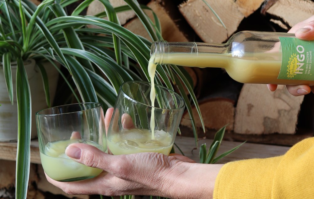 Scharfer Bio Ingwer Shot INGO wird aus der 0,5-l-Flasche in zwei Gläser eingeschenkt