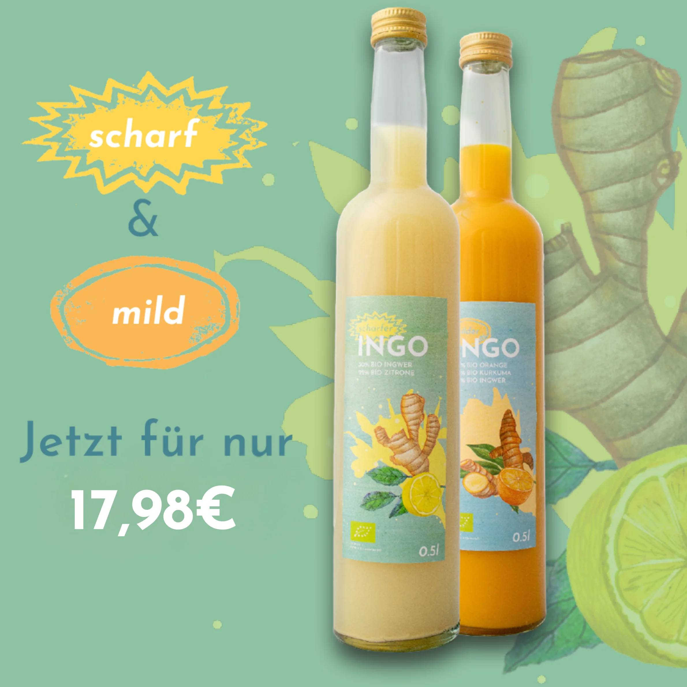INGO Ingwer Shot scharf und mild in der 0,5-l-Flasche